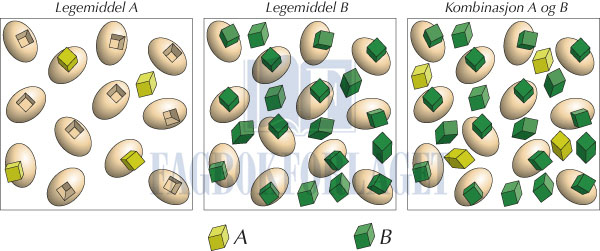 fig7-3.jpg