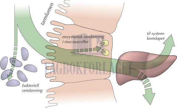 fig4-22.jpg