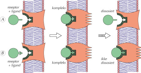 fig-3.1-(5.6).jpg