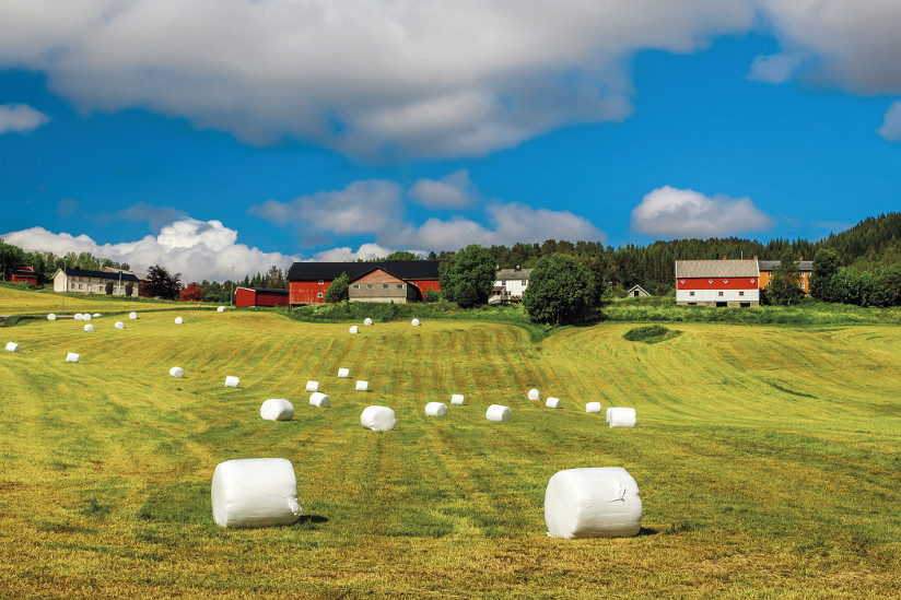 1204_Gaard_Anton_Petrus_iStock_000062521396_Full.jpg