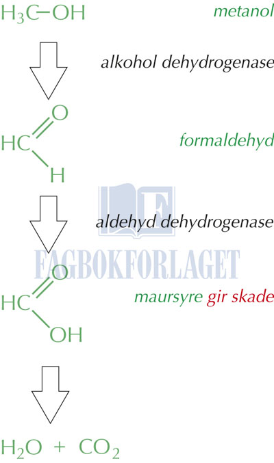 fig14-9.jpg