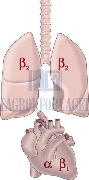fig8-13.jpg