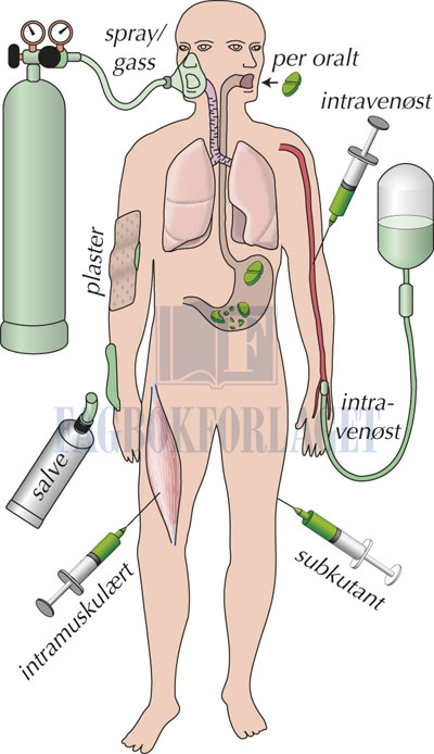 fig5-2.jpg