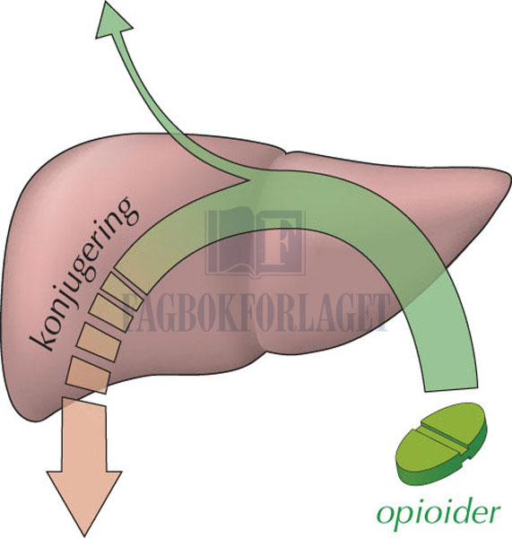 fig4-12.jpg