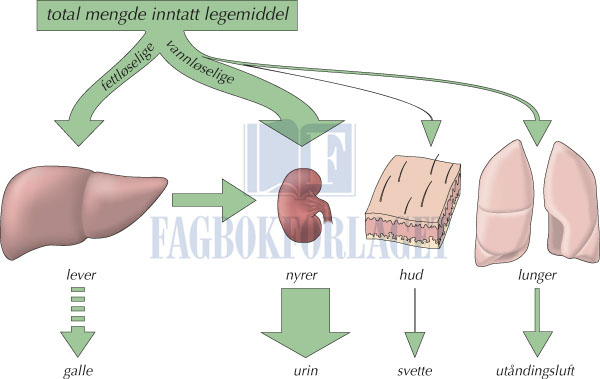 fig4-20.jpg