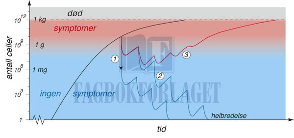 fig13-3.jpg