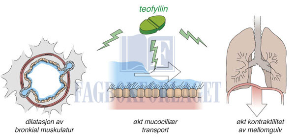 fig9-7.jpg