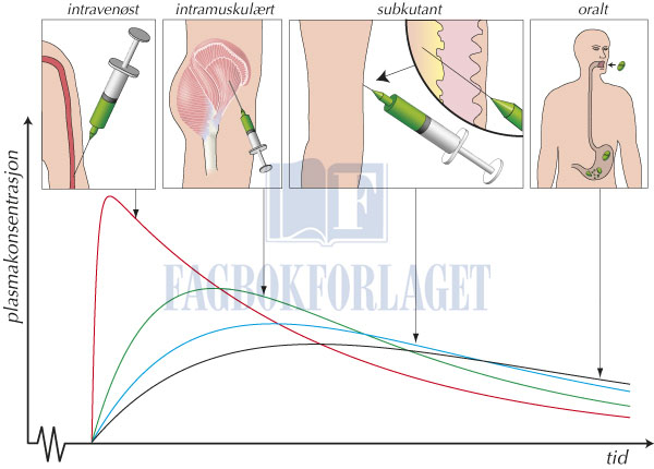 fig4-11.jpg