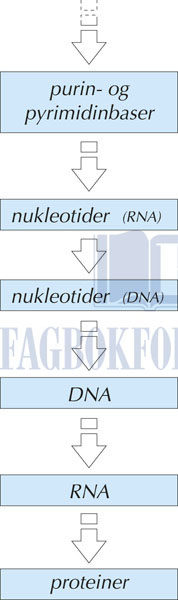 fig13-1.jpg