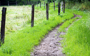 Northern-Ireland_15_iStock_000053230356Small_S.jpg