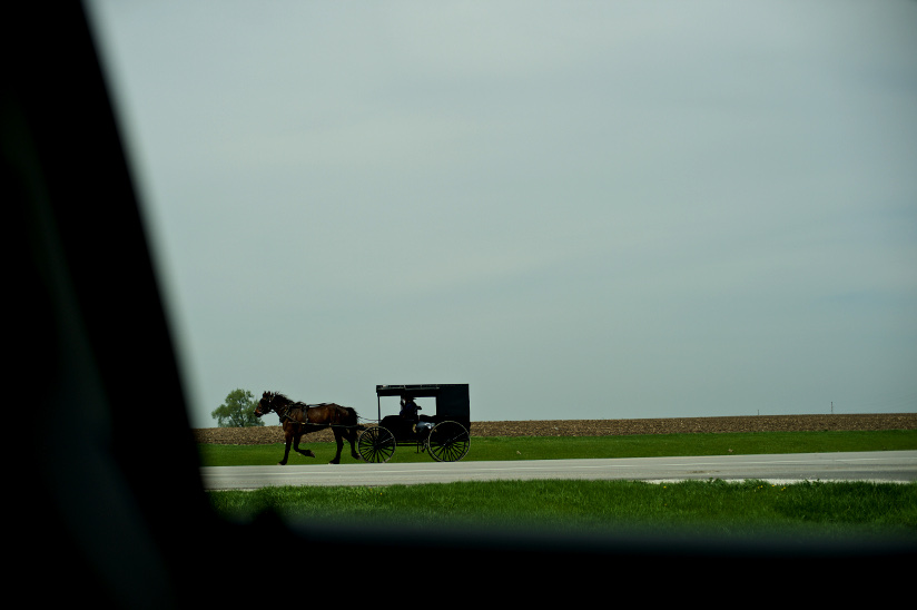 Photo of a horse and an Amish buggy