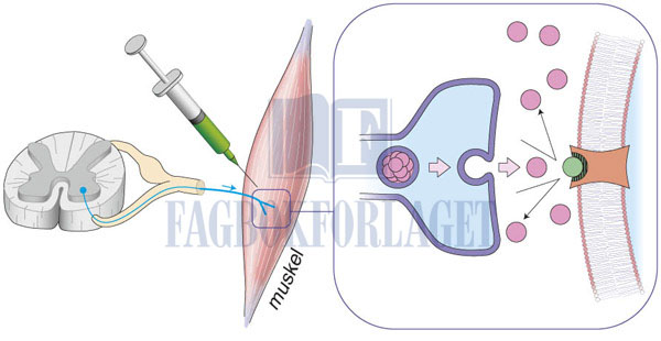 fig15-7.jpg