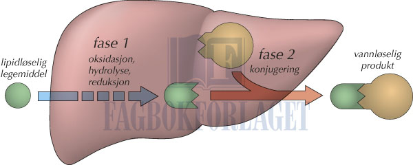 fig4-23.jpg