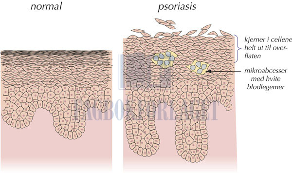 fig14-5.jpg