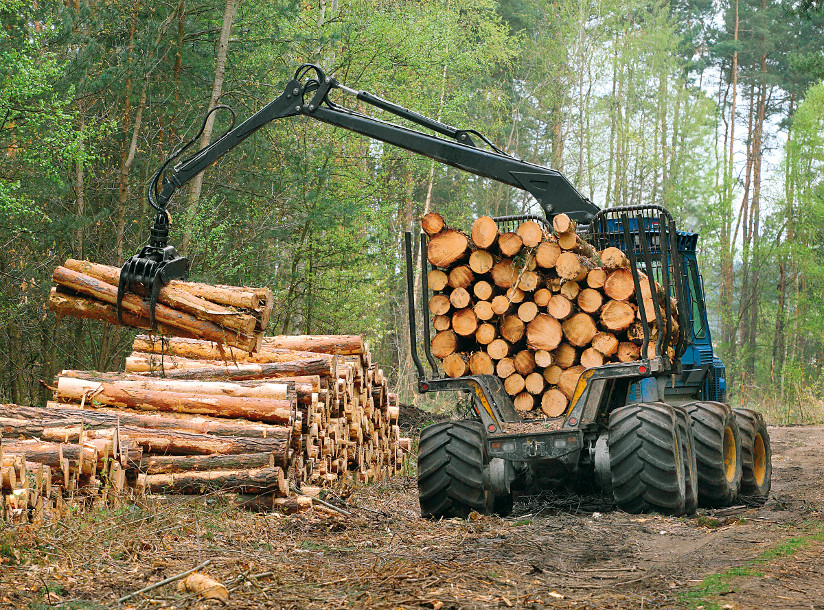 1209_Skogbruk_Kletr_shutterstock_136900811.jpg
