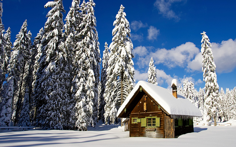 Photo of a small log cabin