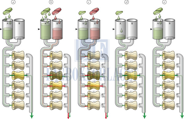 fig4-25.jpg