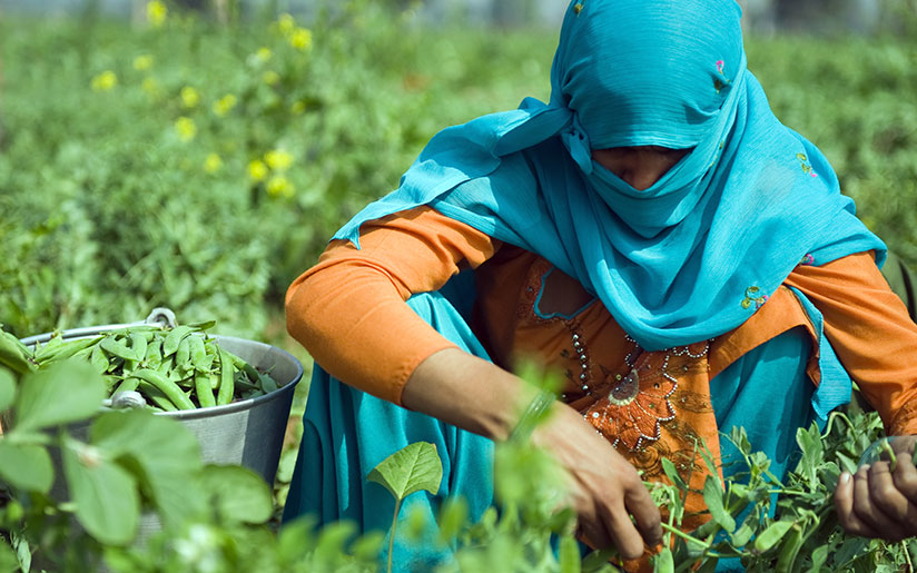 Photo of woman working in the field