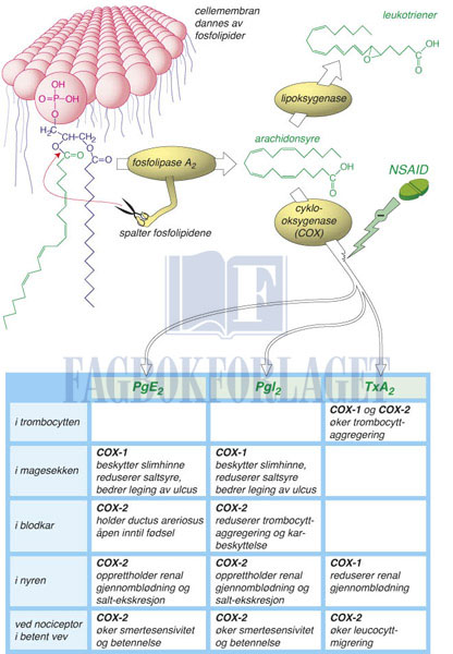 fig4-16.jpg