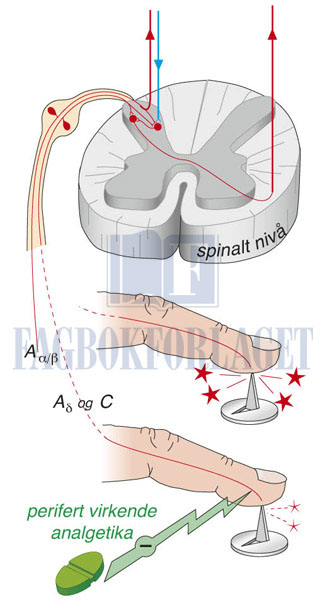 fig4-15.jpg