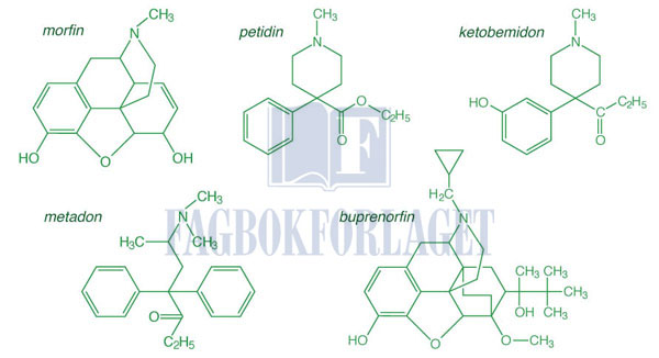 fig4-10.jpg