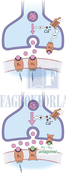 fig8-14.jpg