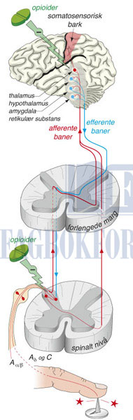 fig4-8.jpg