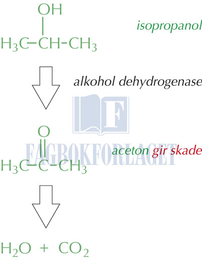 fig14-8.jpg