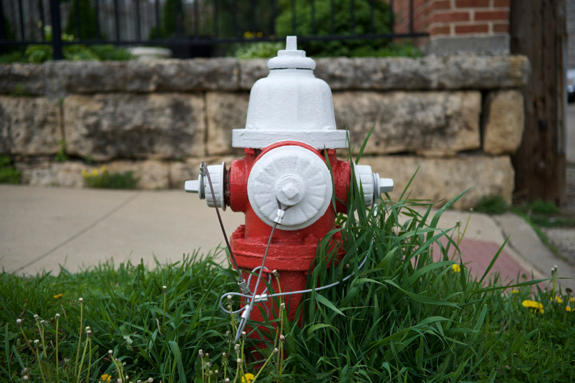 Photo of an American fire hydrant