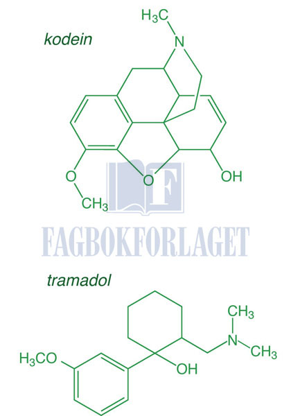 fig4-11.jpg