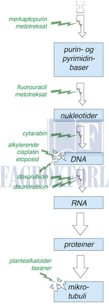 fig13-4.jpg