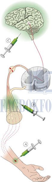 fig15-1.jpg