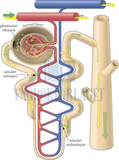 fig4-9.jpg