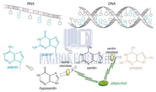 fig7-5.jpg