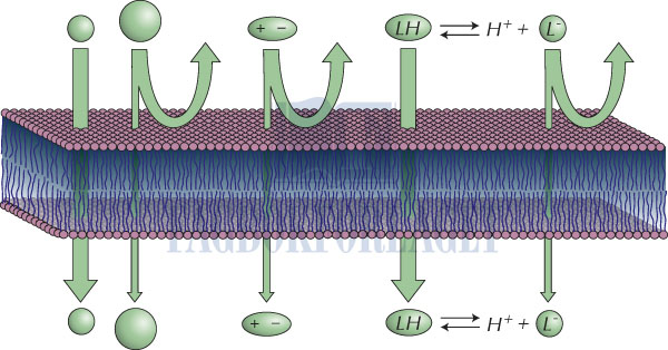 fig4-7.jpg