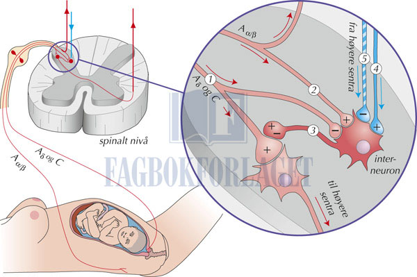 fig4-6.jpg