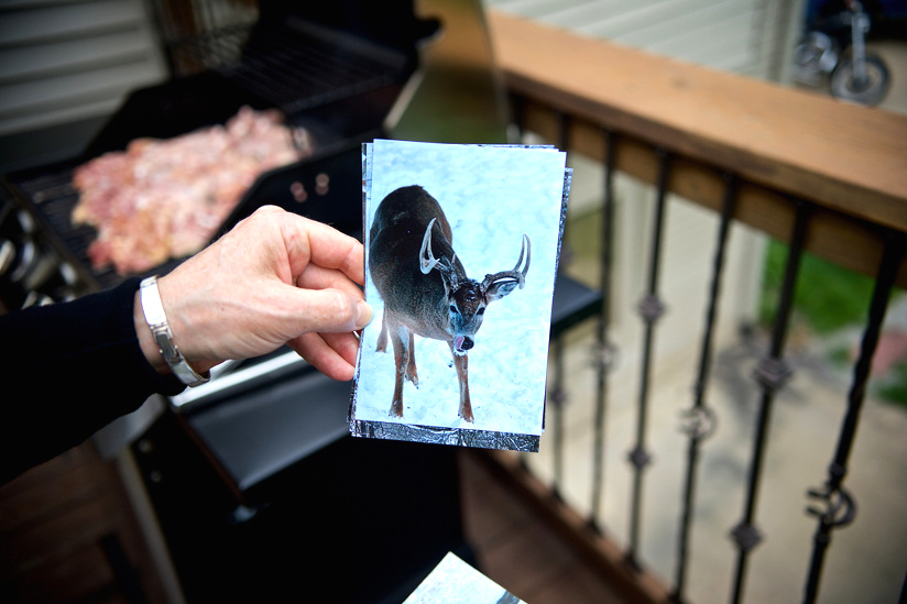 Photo of a picture of a deer in a yard